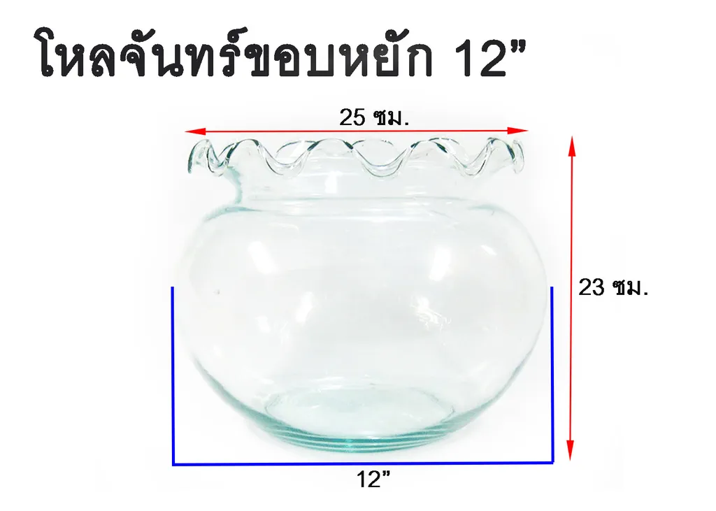 โหลจันทร์ขอบหยัก 12" (1*4)
