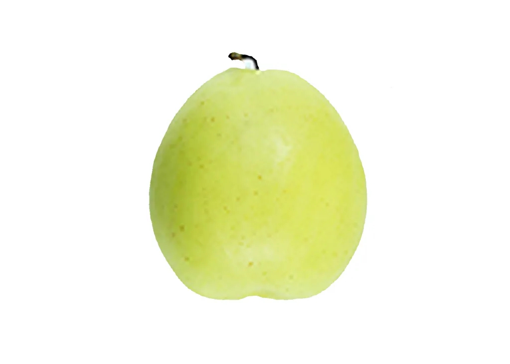 สาลี่ ผัก-ผลไม้ปลอม