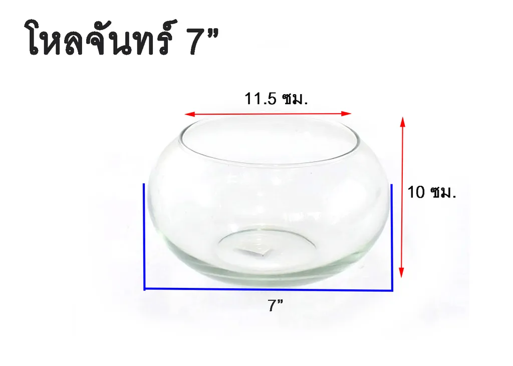 โหลจันทร์ 7" (1*30)