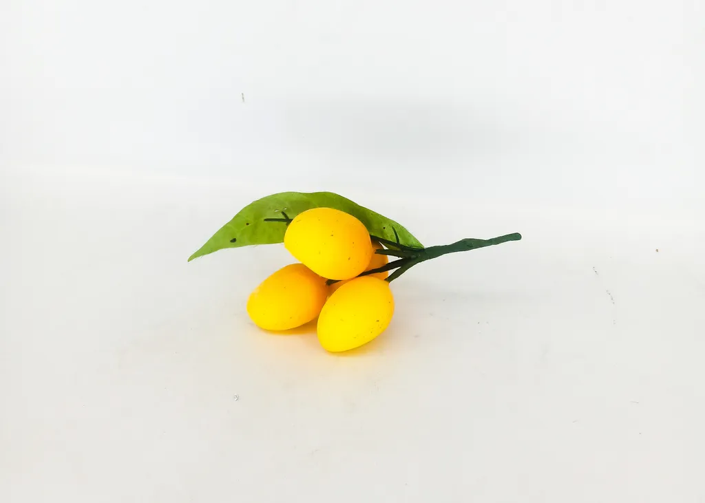 มะม่วงเบาสุก ผัก-ผลไม้ปลอม