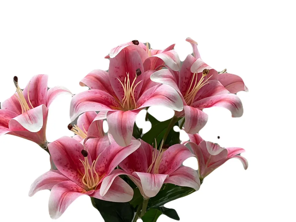 ดอกลิลลี่ยาง ช่อ9 ดอก คละสี #ZL9