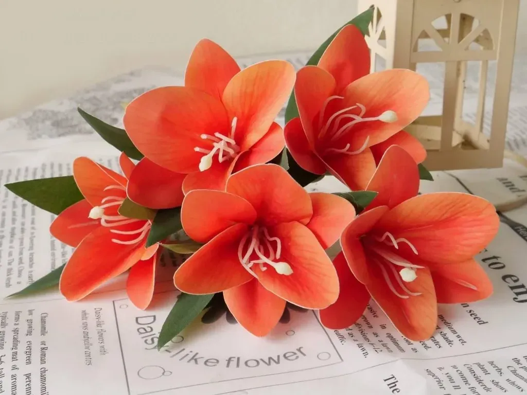 LC ลิลลี่ยางกลม คละสี